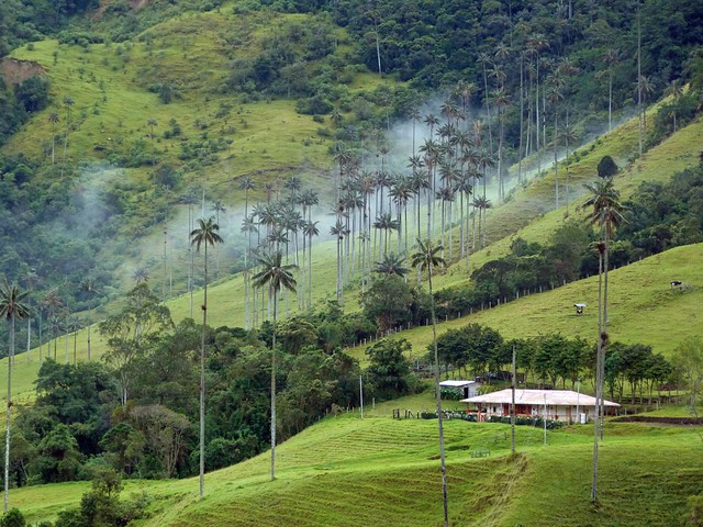 Buga - Fin de semana - Foto 1