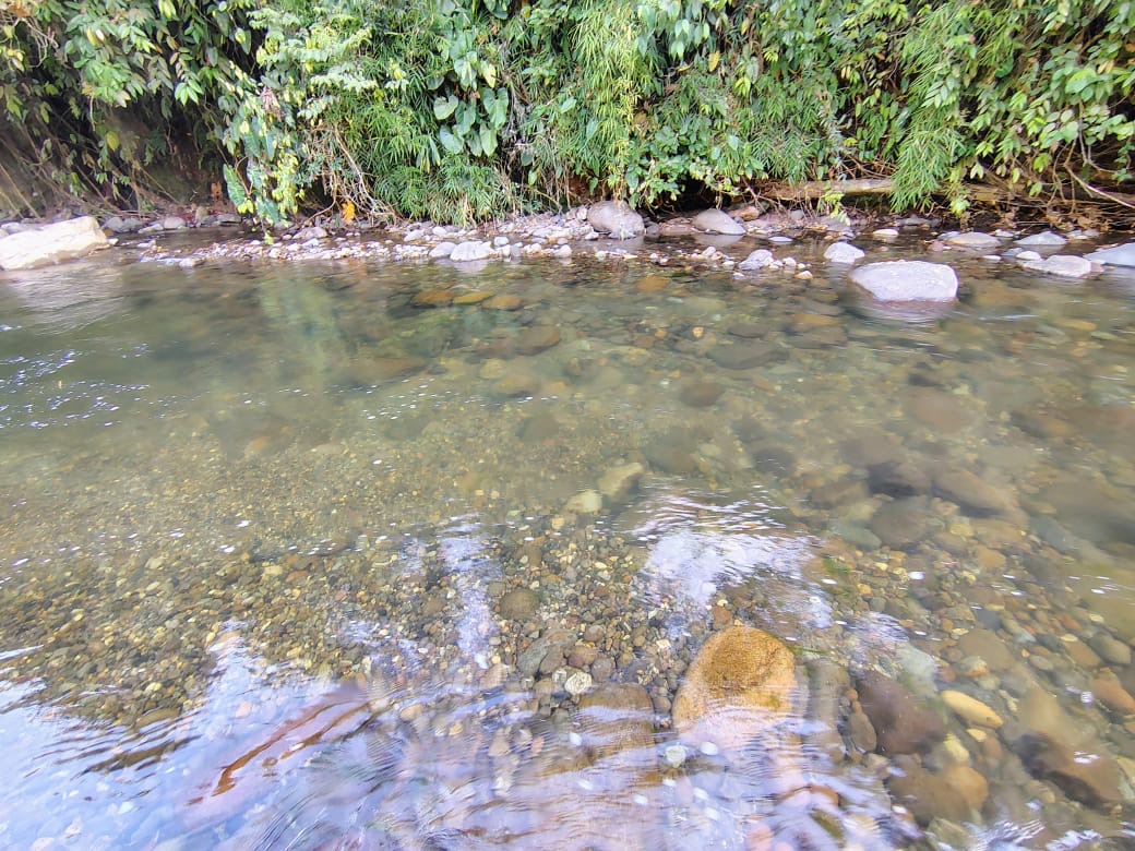 Imagen del plan SANTA ROSA DE CABAL